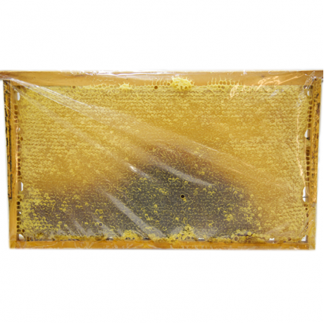 Çerçeve Bal (Petek) 1.Kg Fiyatı