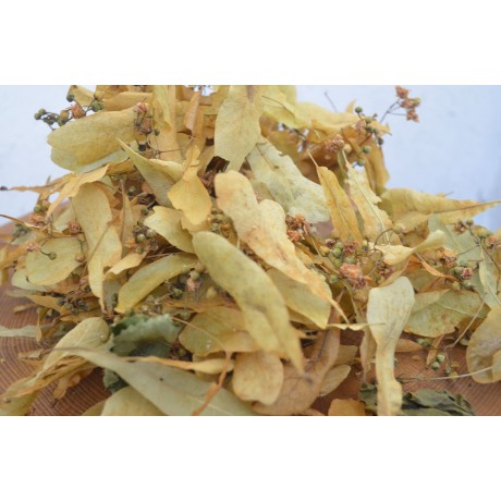 Şavşat Ihlamur 100 Gram Fiyatı