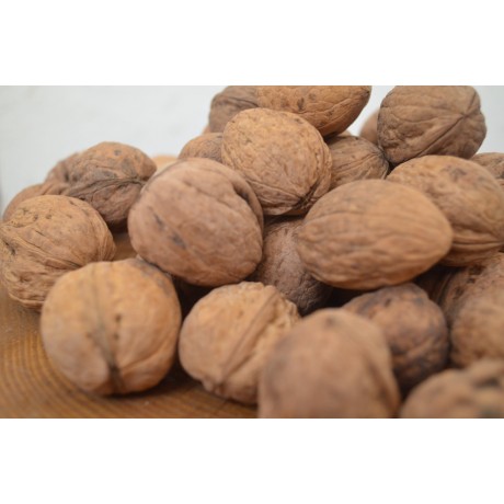 Şavşat Cevizi 1.Kg Fiyatı