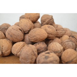 Şavşat Cevizi 1.Kg Fiyatı