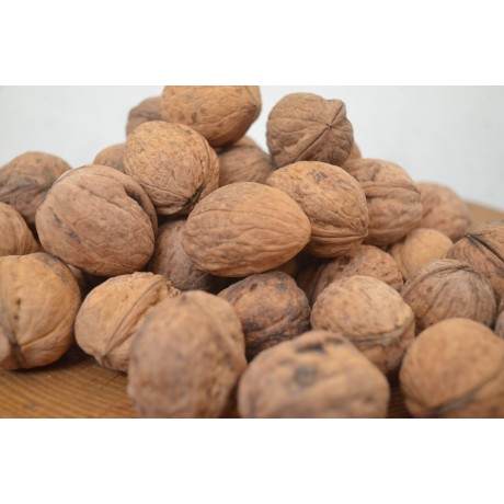 Şavşat Cevizi 1.Kg Fiyatı