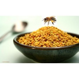 Şavşat Poleni 100 Gram Fiyatı