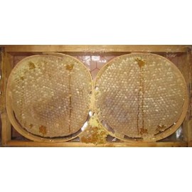 Kara Kovan Balı 1 Kg Fiyatı