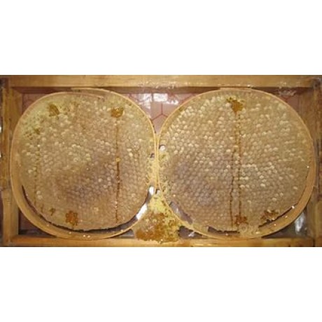 Kara Kovan Balı 1 Kg Fiyatı